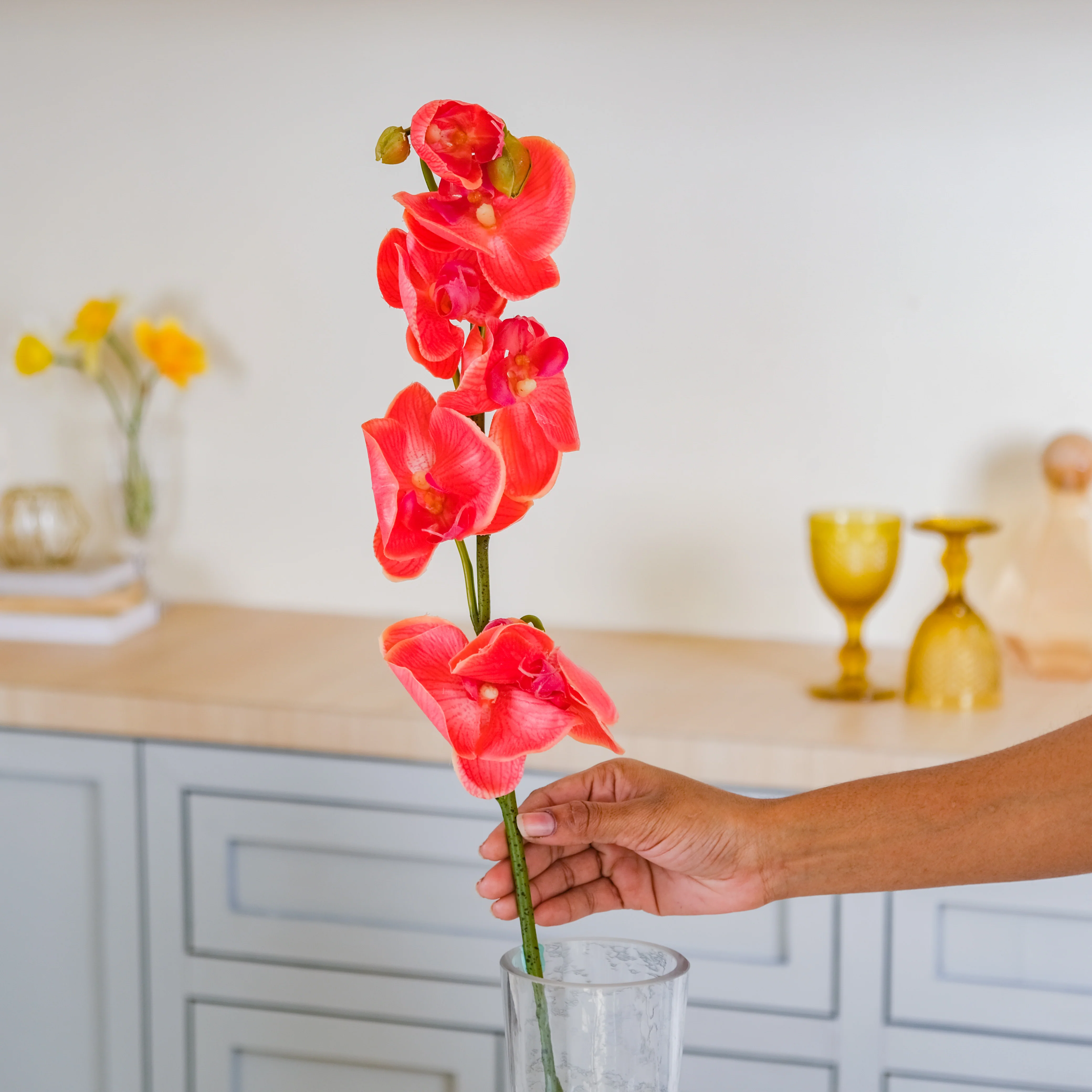 Moth Orchid Flower - Image 7