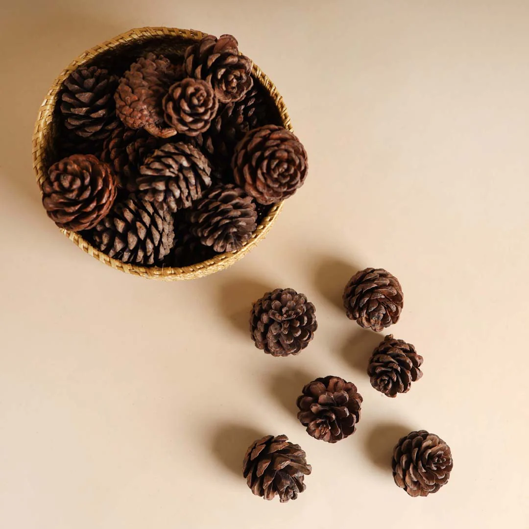 Natural Pine Cones Small - Image 4
