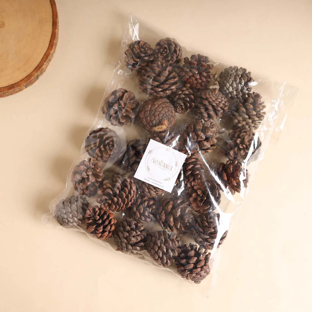 Natural Pine Cones Small - Image 5