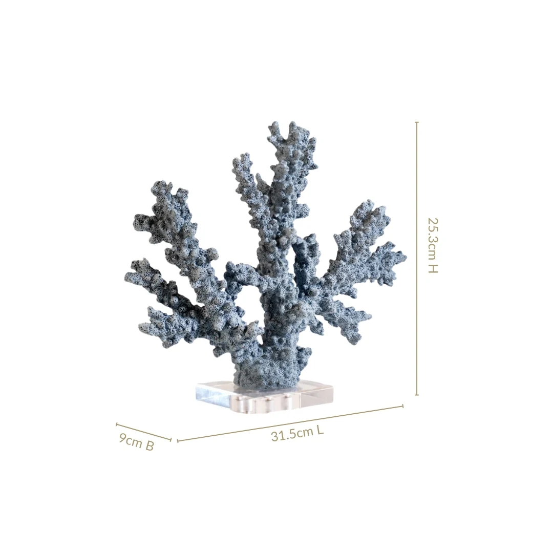 Nautical Coral Decor - Image 3