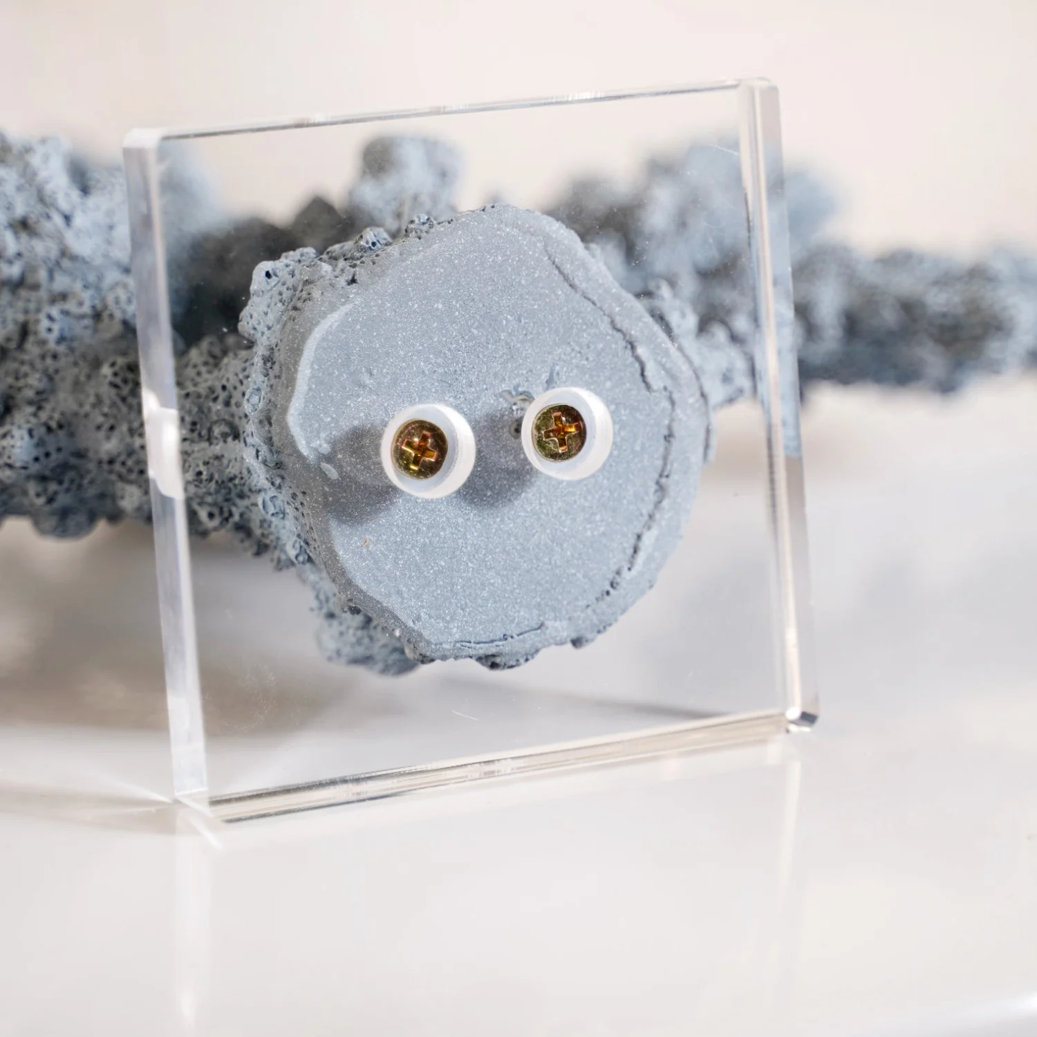 Nautical Coral Decor - Image 8