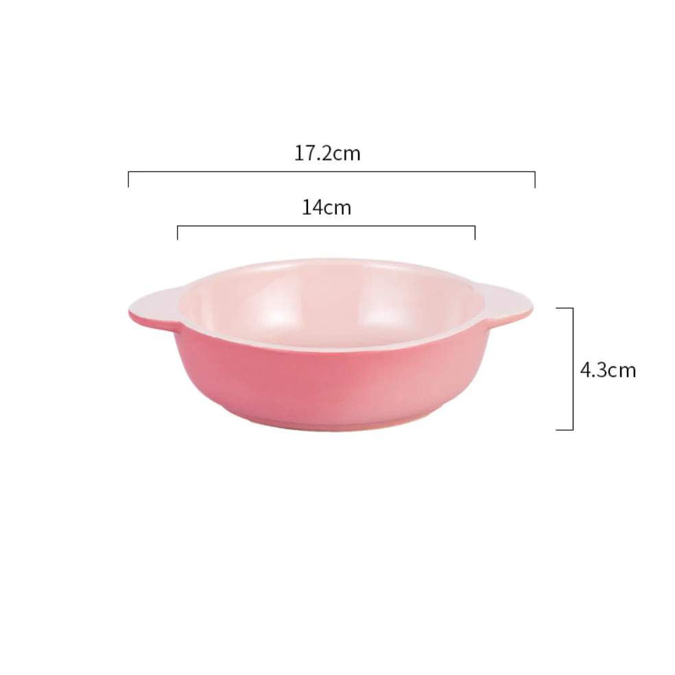 Oven Proof Dish - Image 14