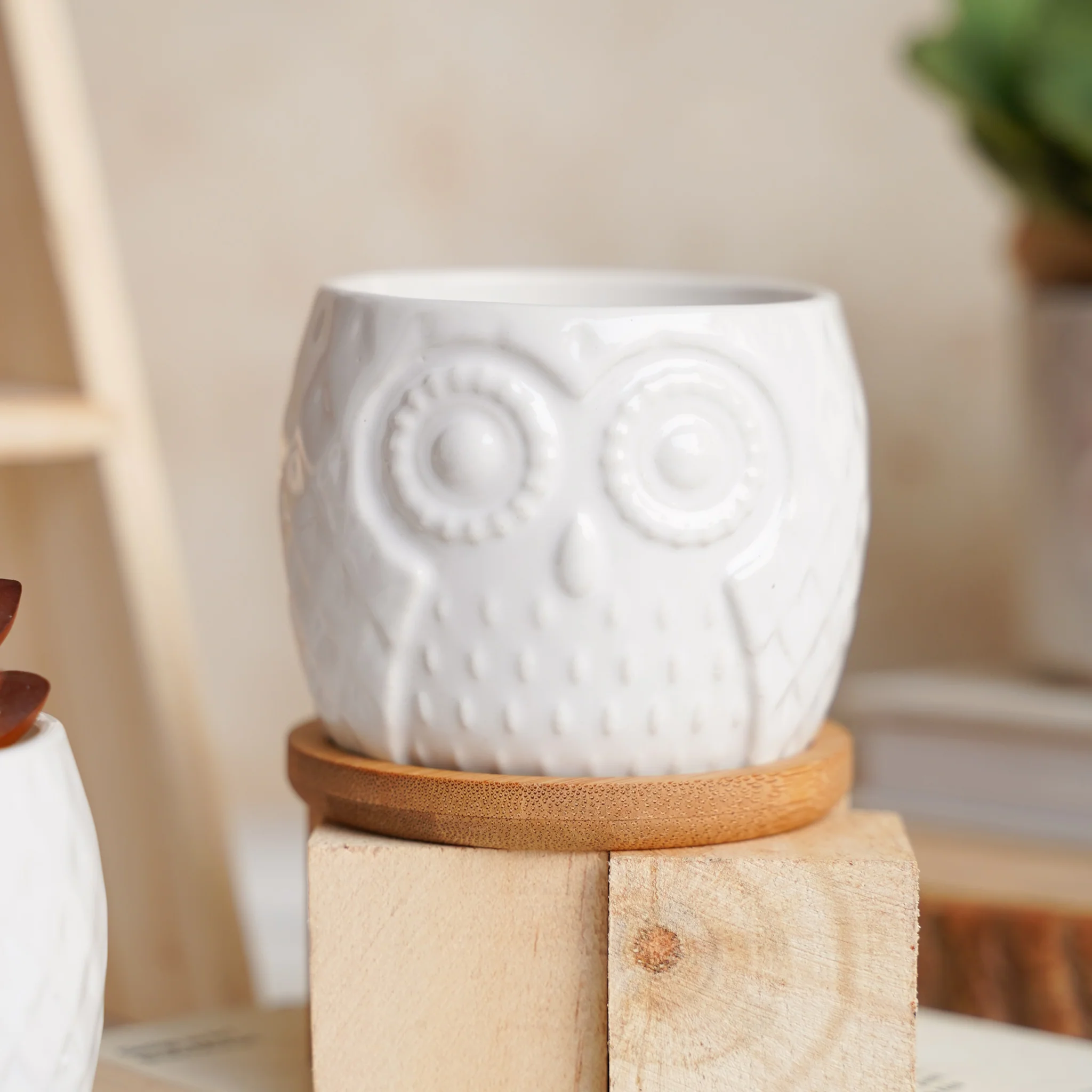 Owl Ceramic Pot - Image 6