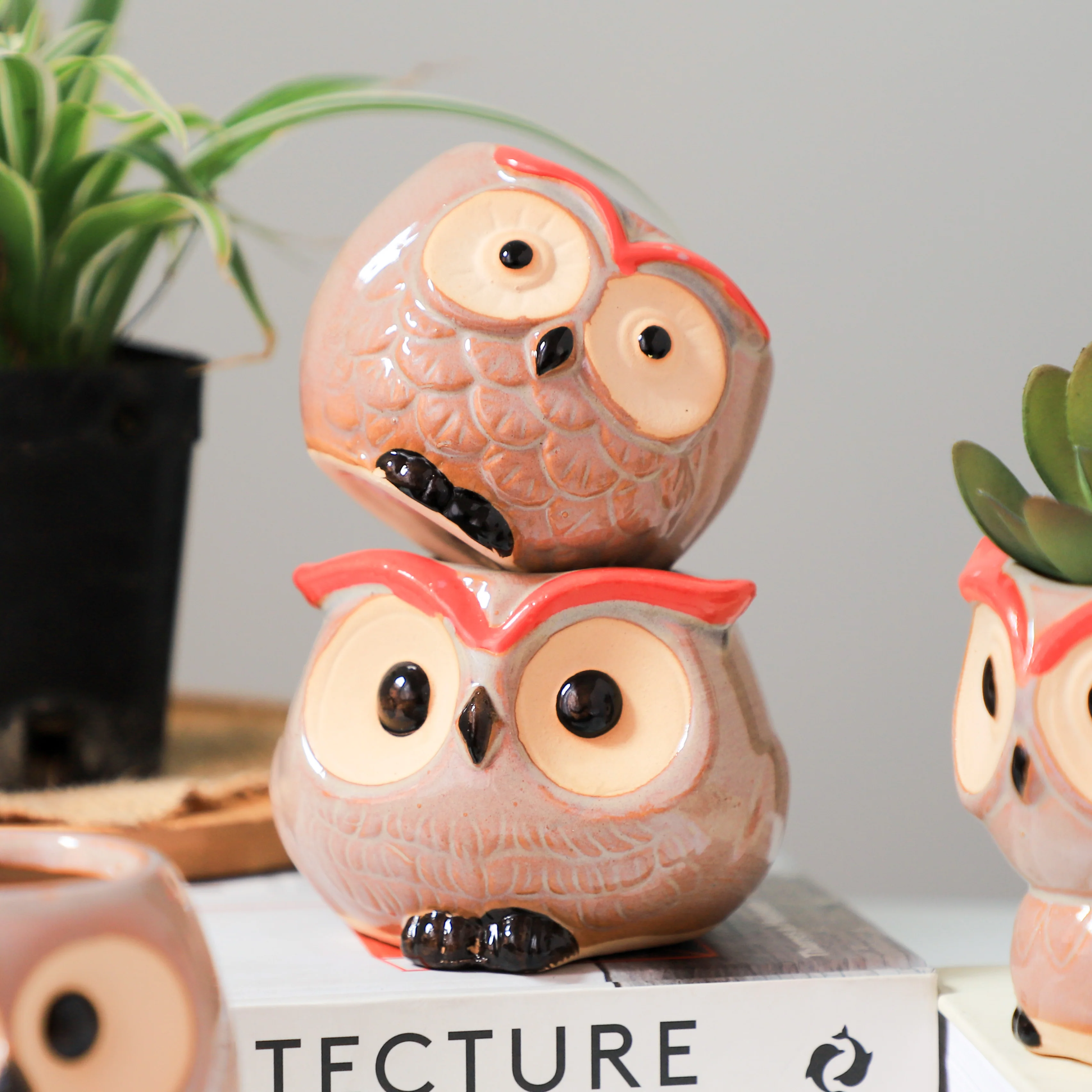 Owl Planter - Image 8