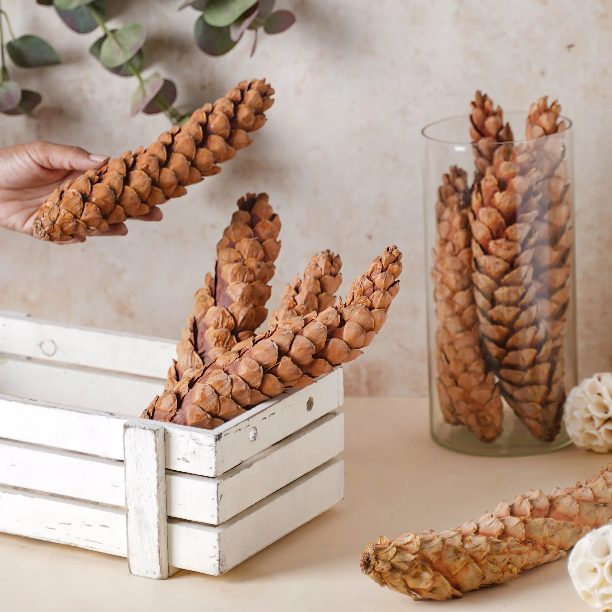 Pine Filler - Image 2