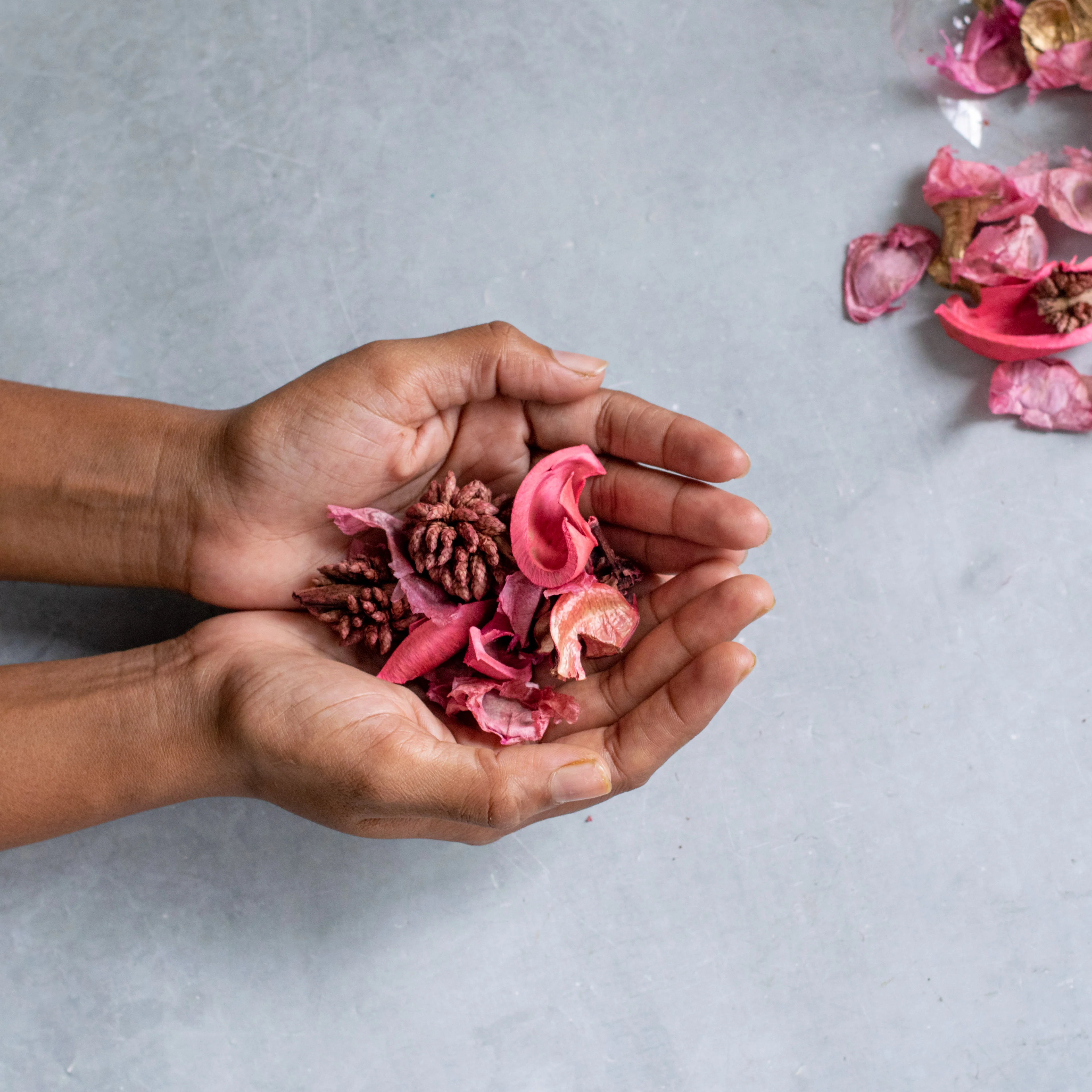 Pink Potpourri - Image 3