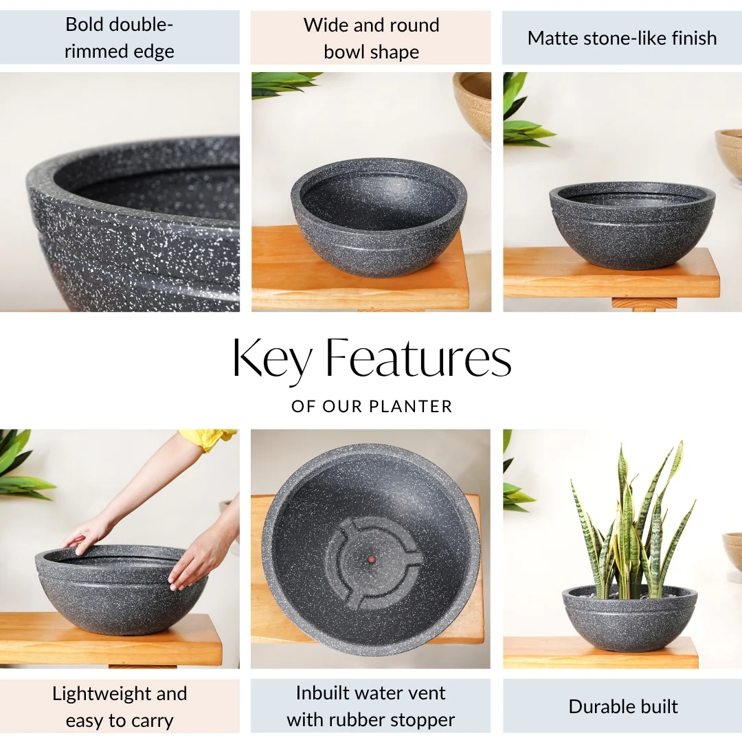 Planterra Granite Black Round Lotus Planter 15x7 Inch - Image 5