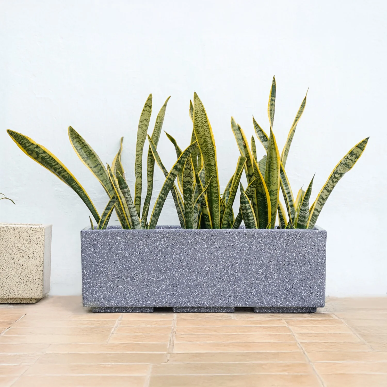 Planterra Modern Grey Trough Planter 24x8 Inch - Image 2