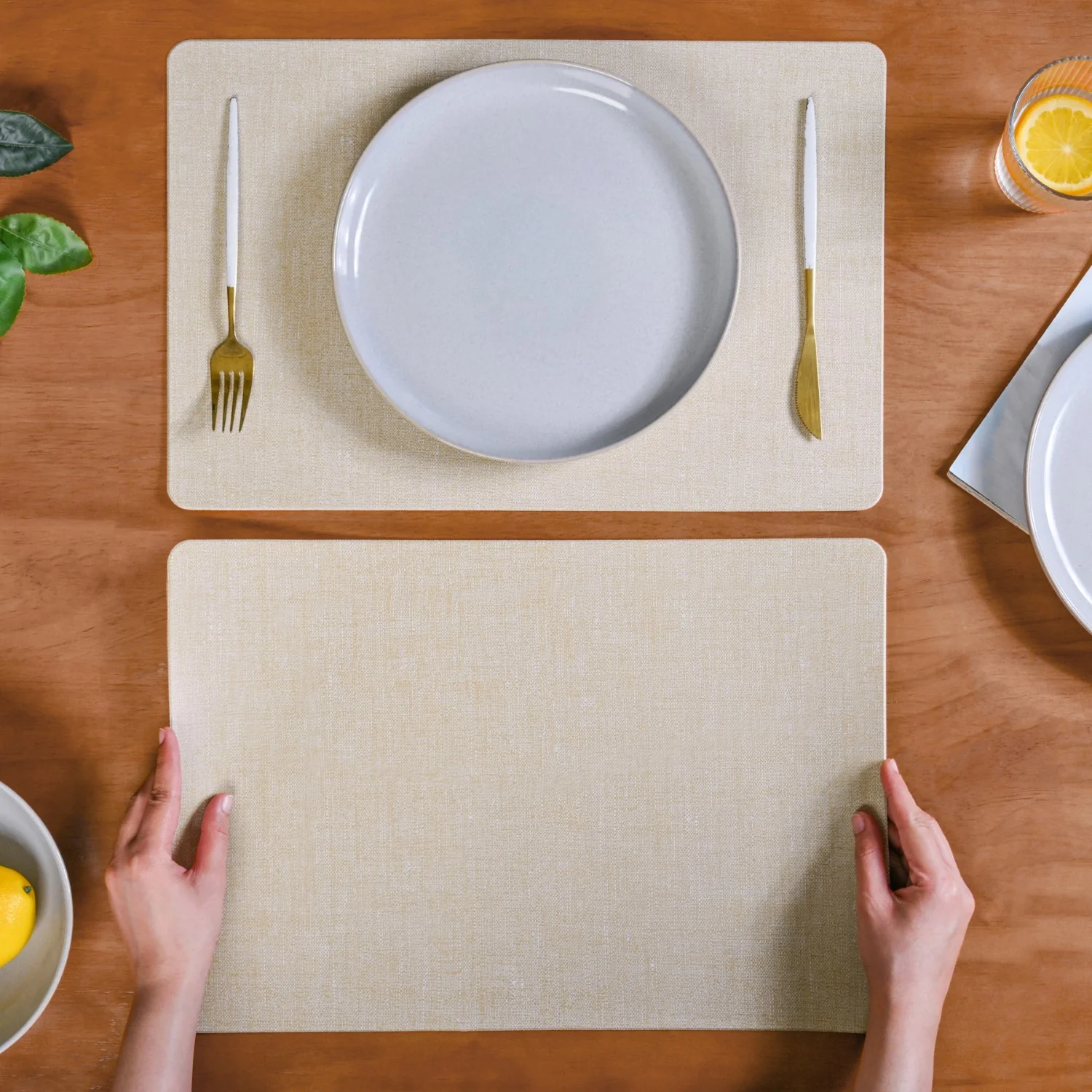 Rectangular Beige Dining Table Mat Set Of 6 - Image 2