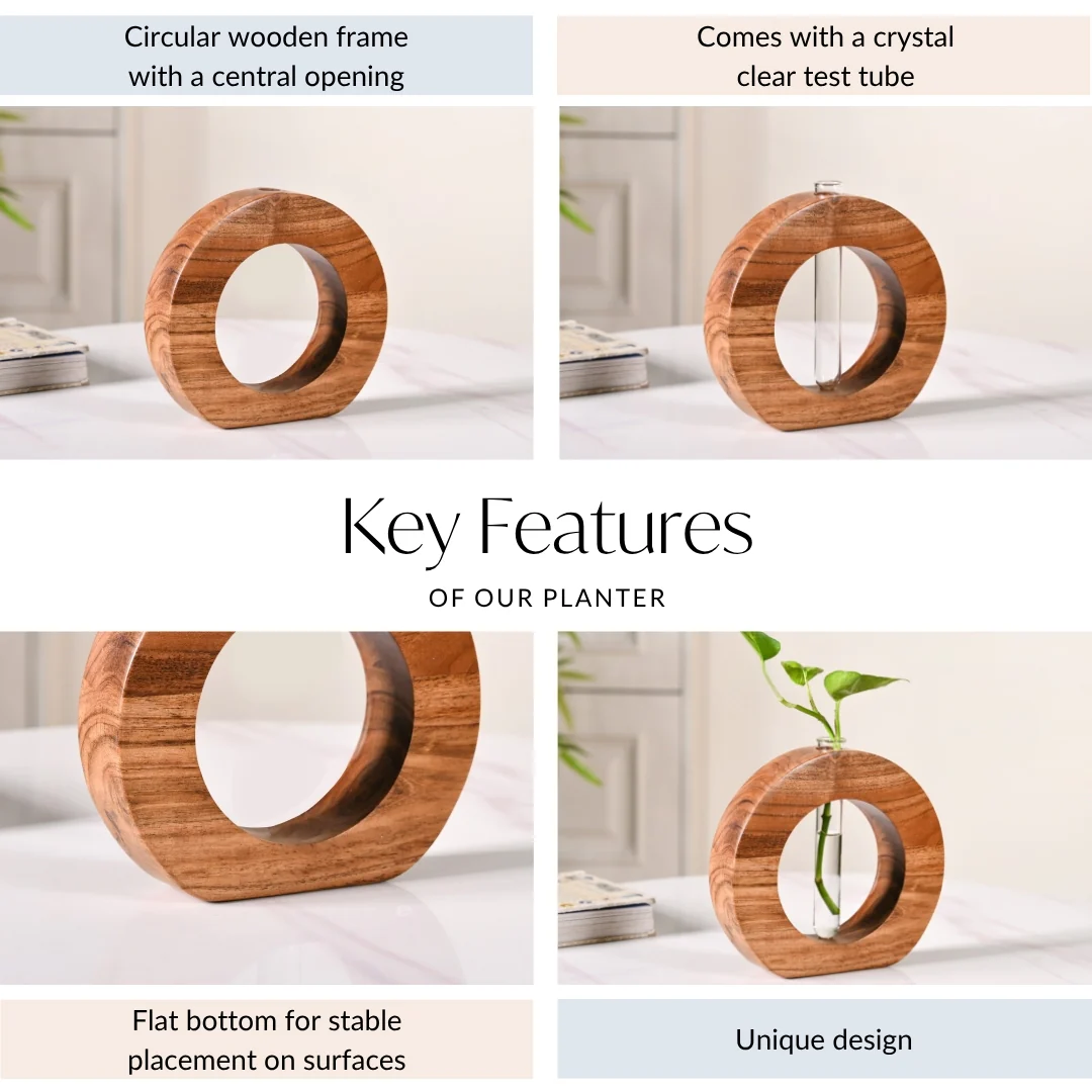 Ring Table Top Test Tube Wooden Vase - Image 4