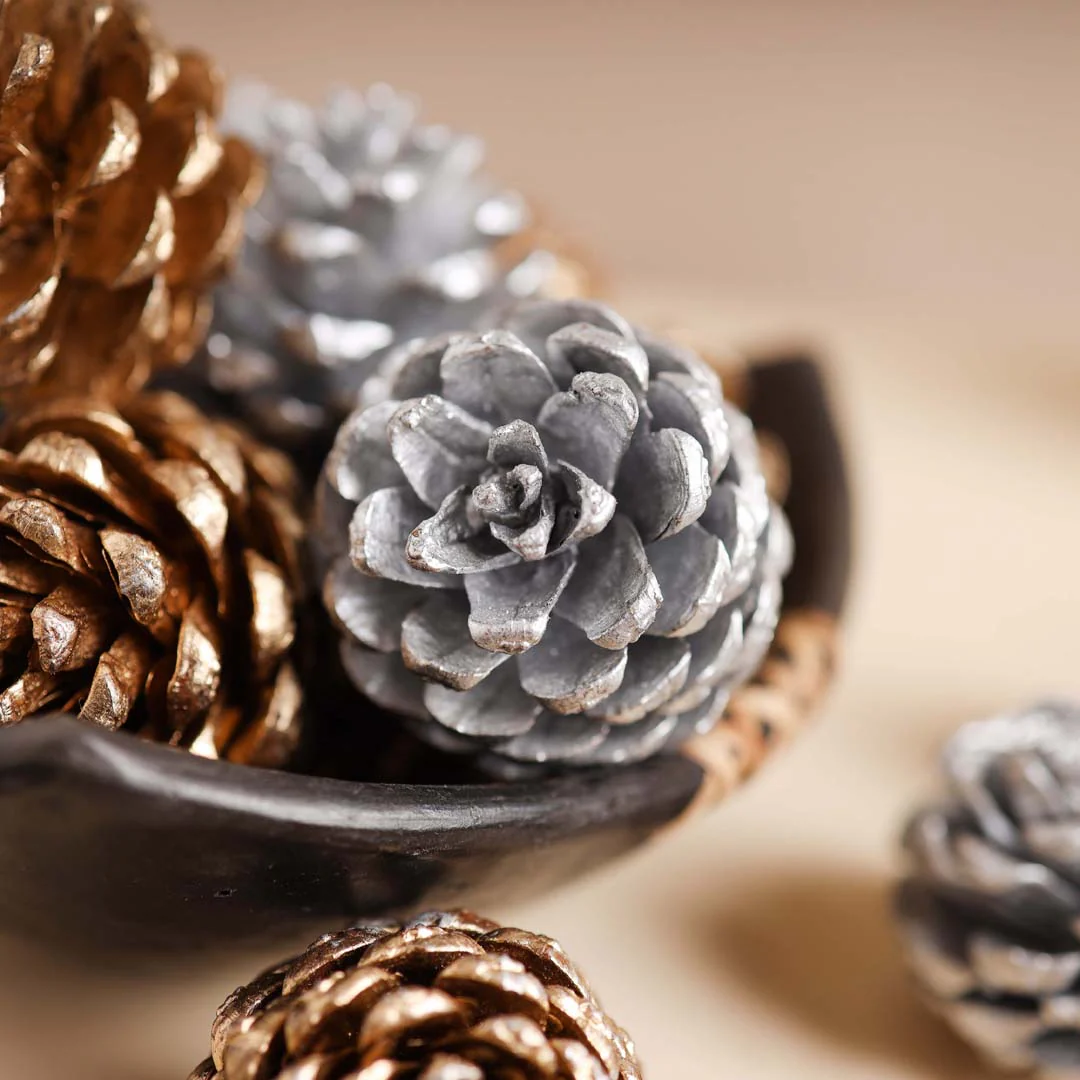 Small Pine Cones - Image 3