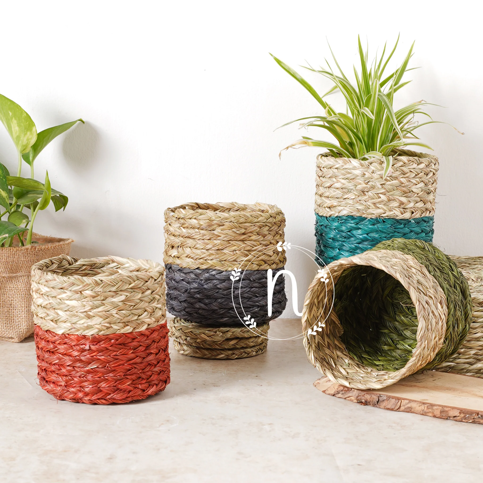 Small Planter Basket - Image 12