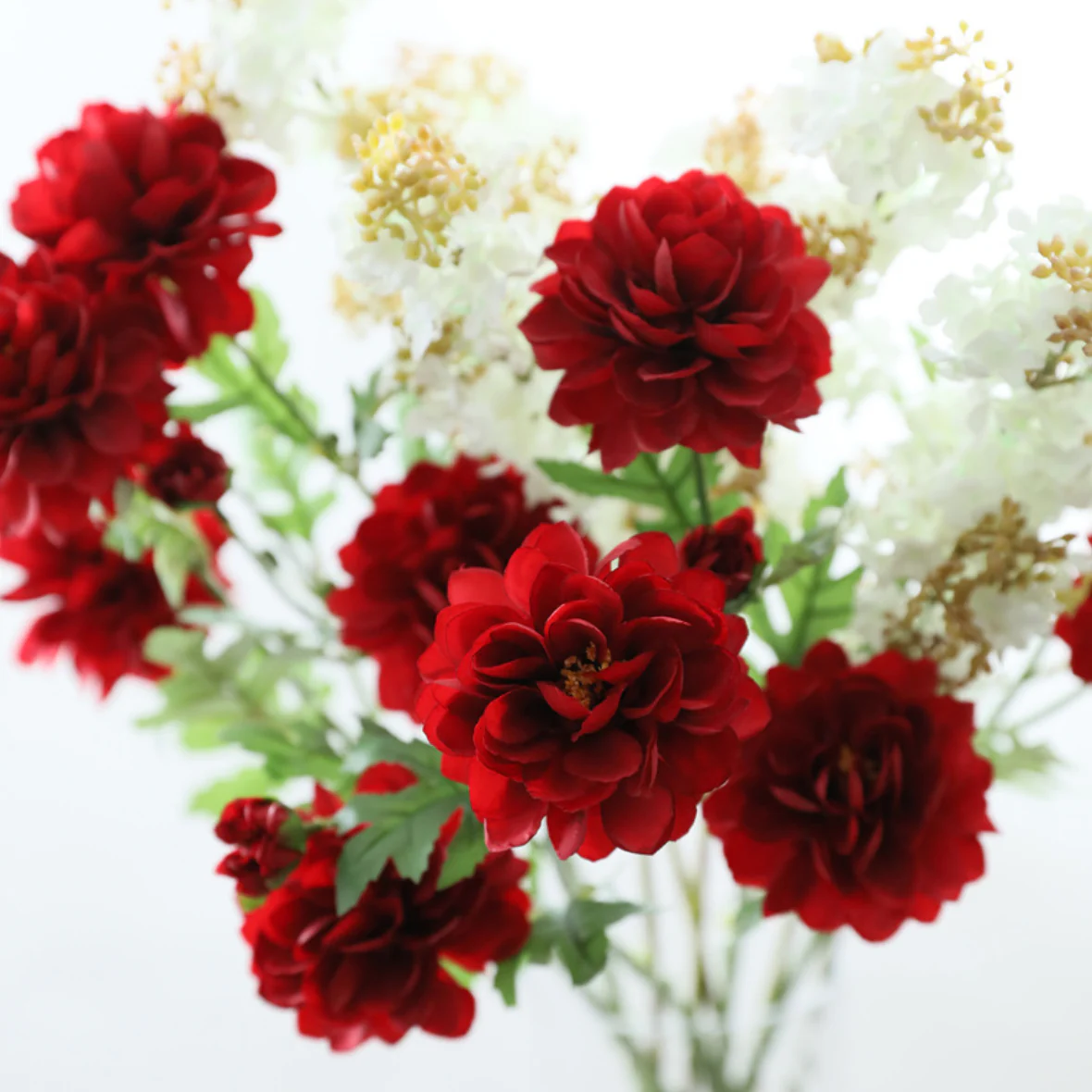 Snow Lotus - Image 10