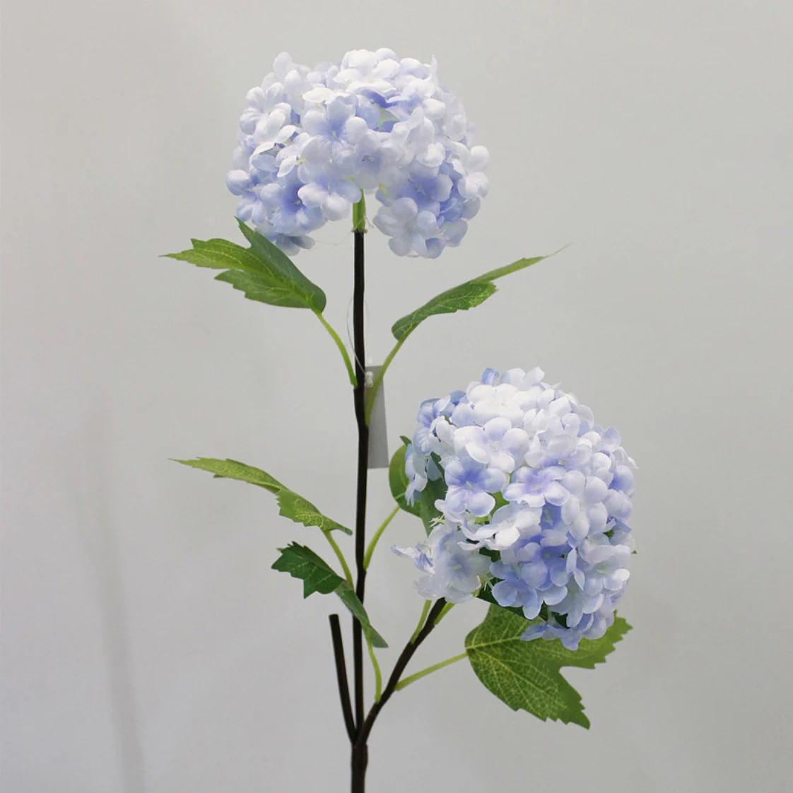 Snowball flower - Image 18