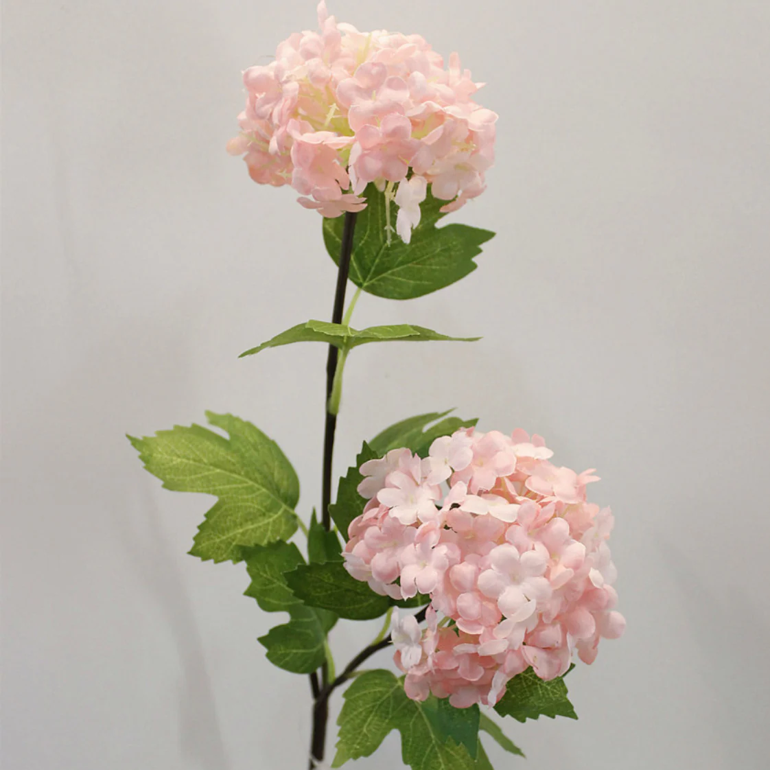 Snowball flower - Image 19