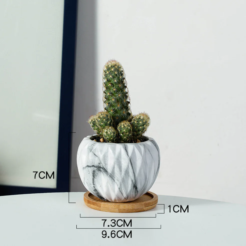 Succulent Planter - Image 19