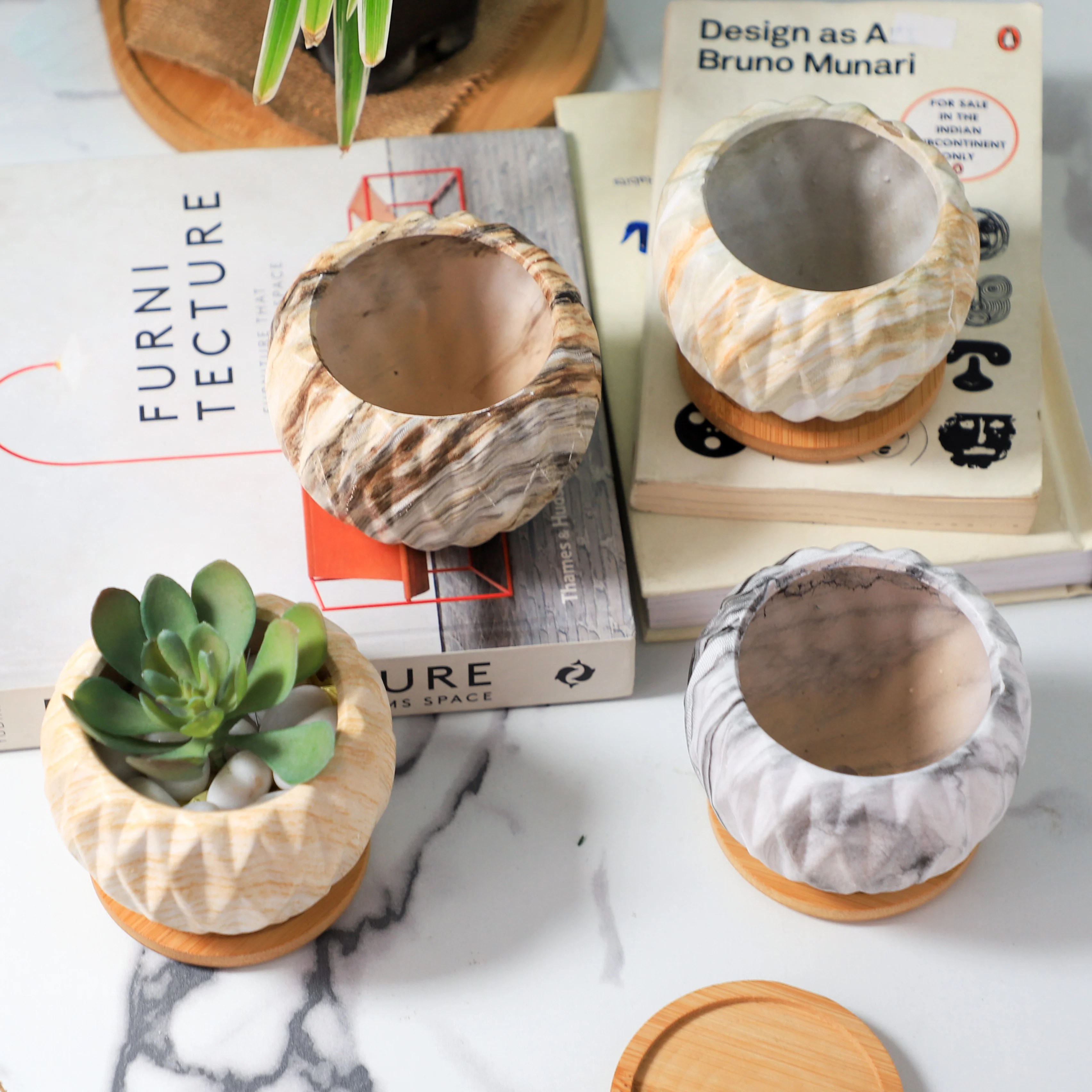Succulent Planter - Image 6
