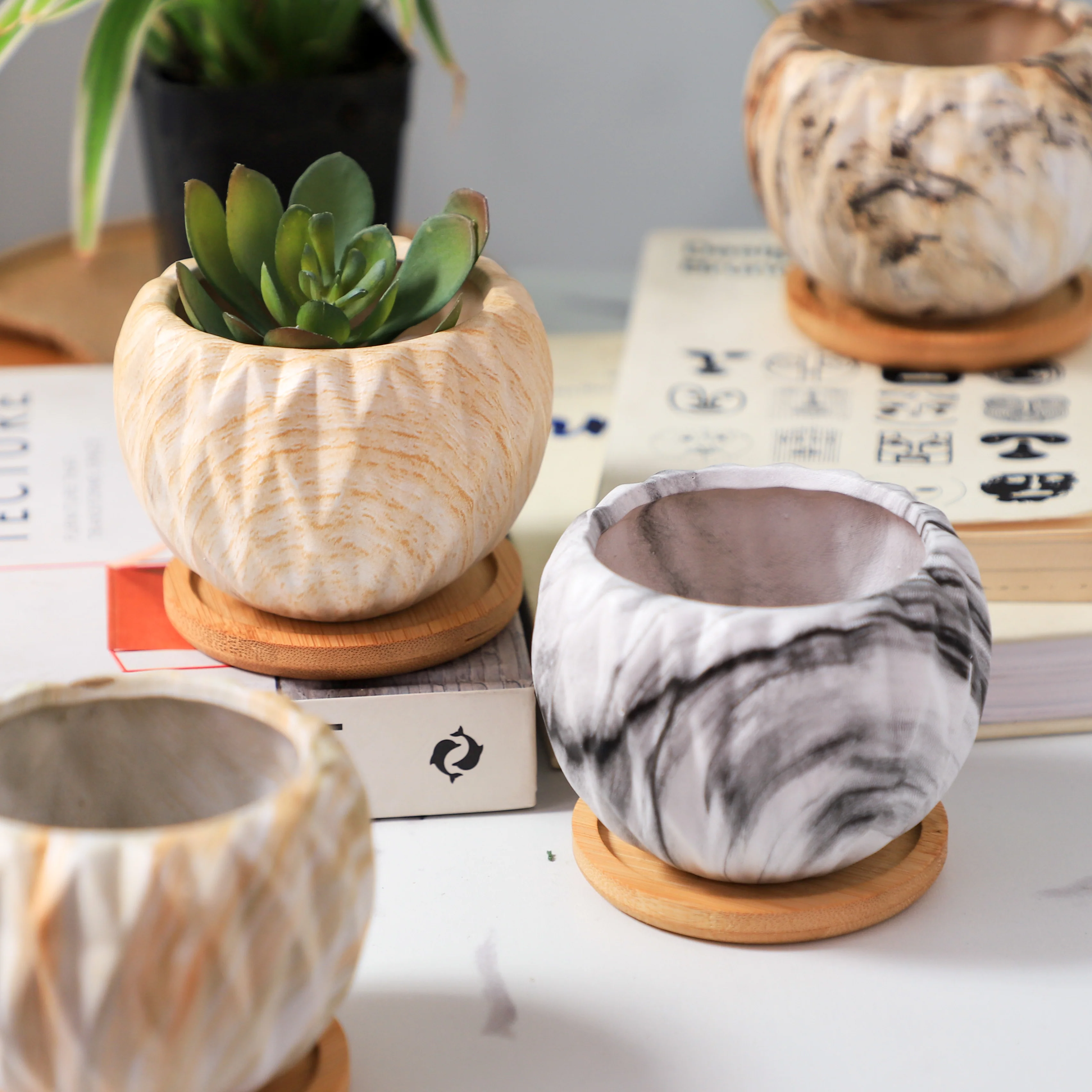 Succulent Planter - Image 8