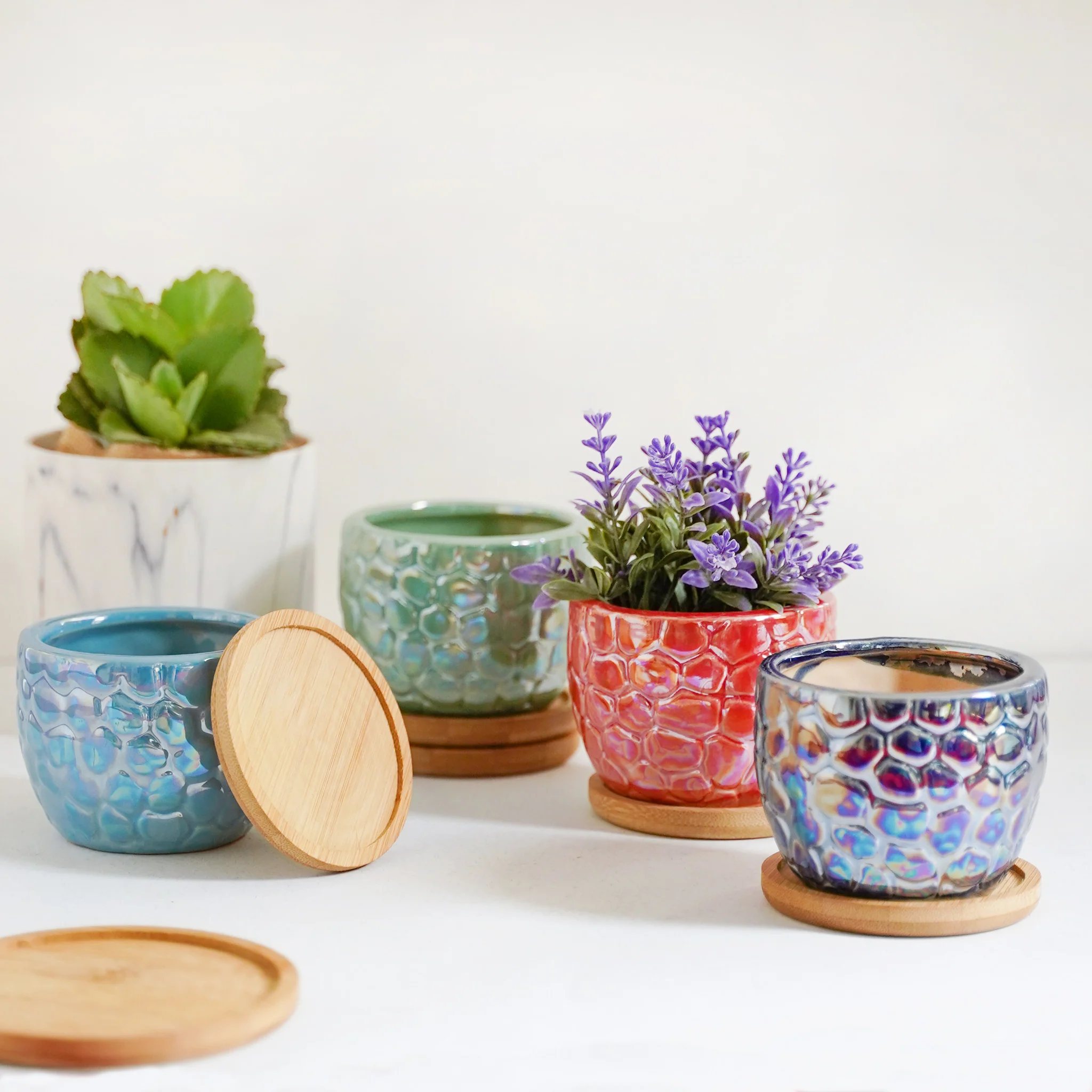 Succulent Pots