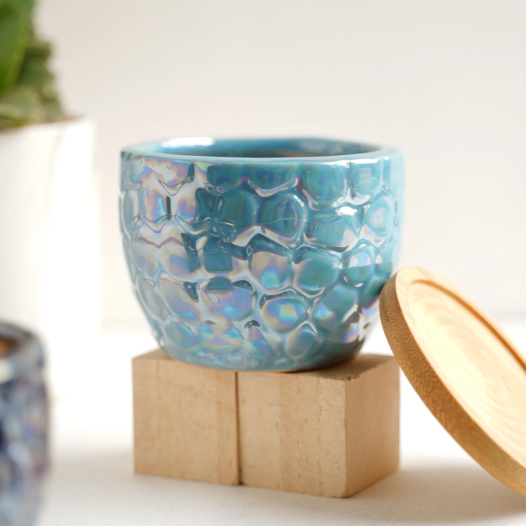 Succulent Pots - Image 12