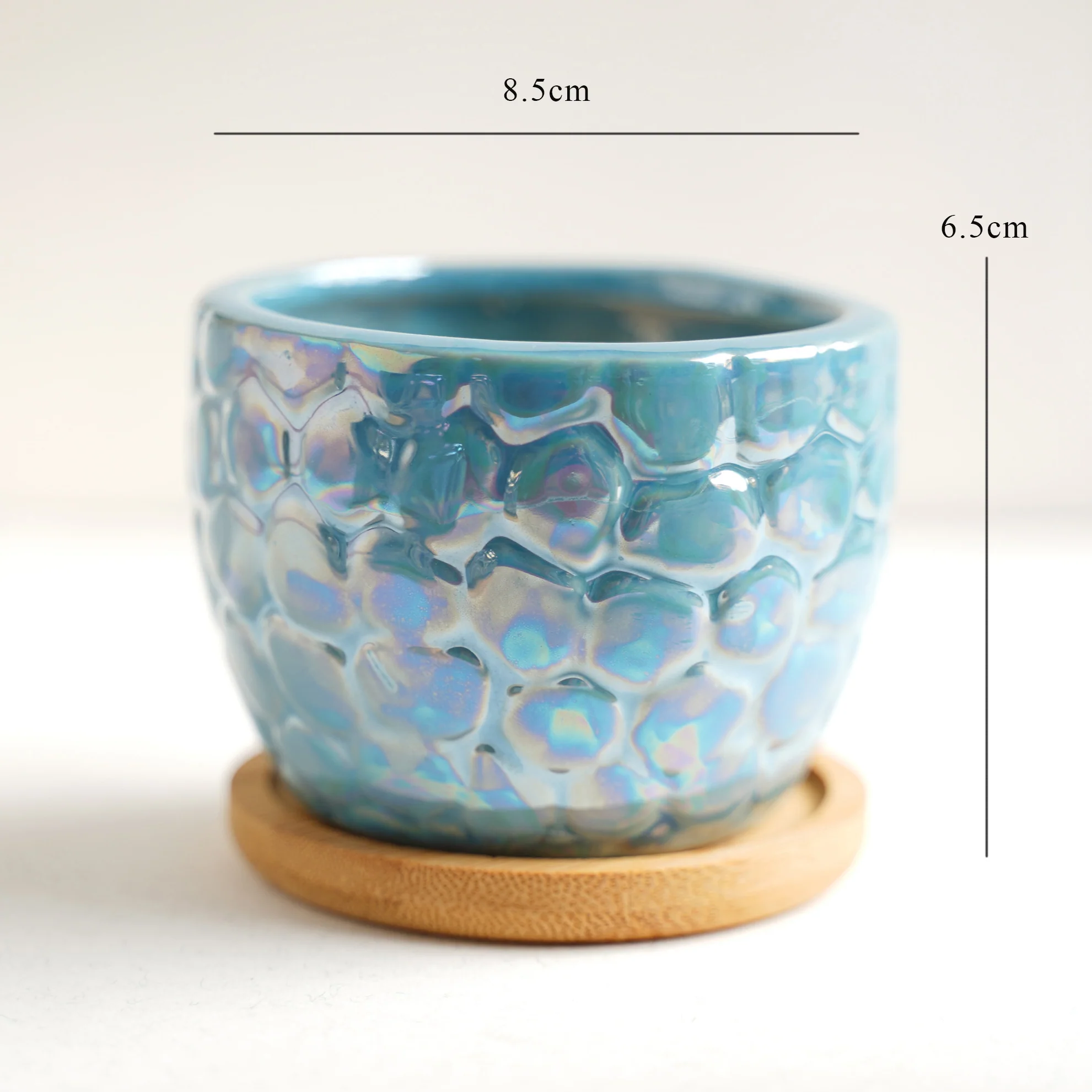 Succulent Pots - Image 18