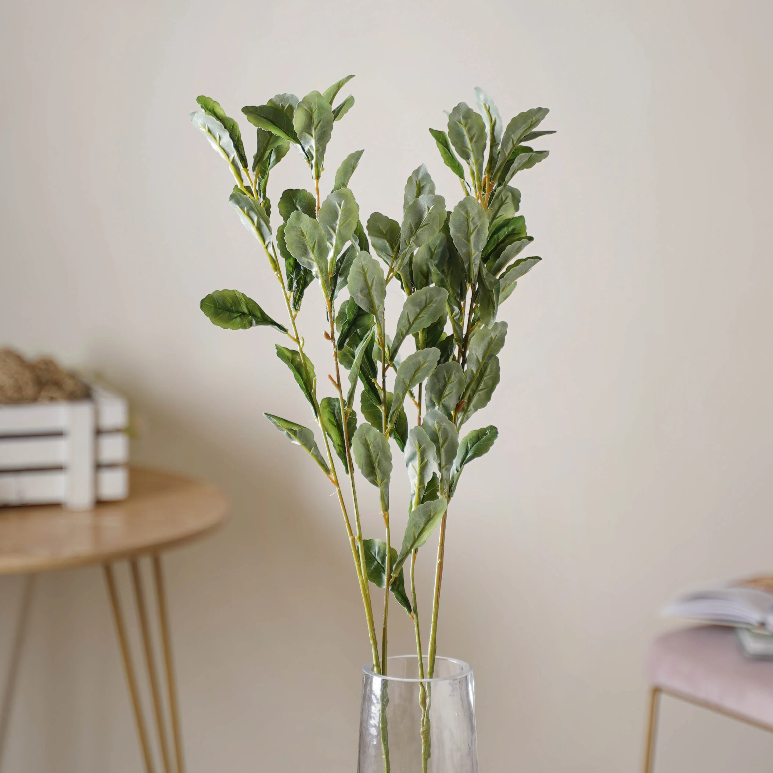 Tall Leaf Stem