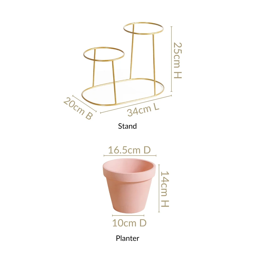 TerraDuo Decorative Planters With Two Tier Gold Stand Pink - Image 4