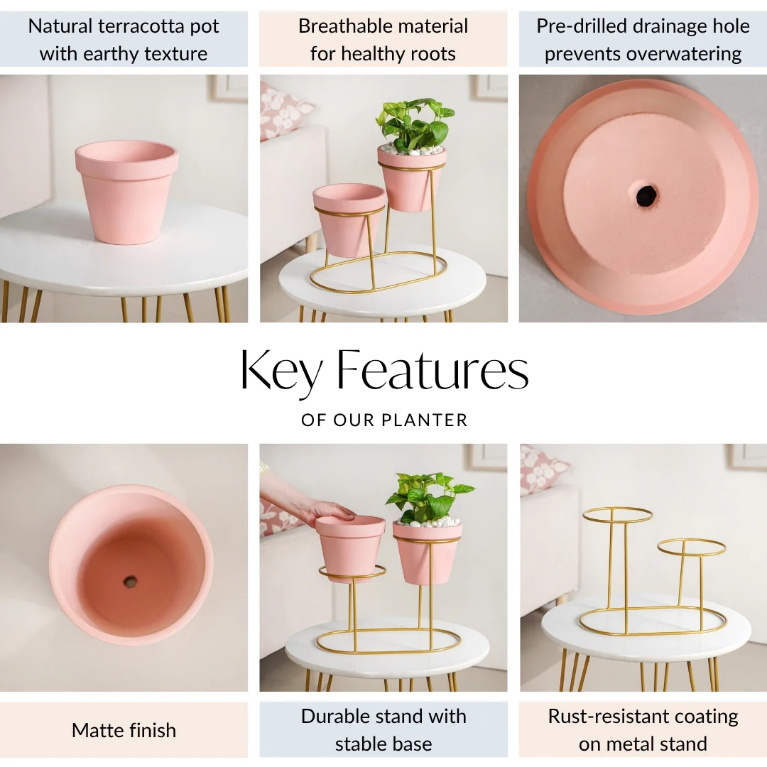 TerraDuo Decorative Planters With Two Tier Gold Stand Pink - Image 5