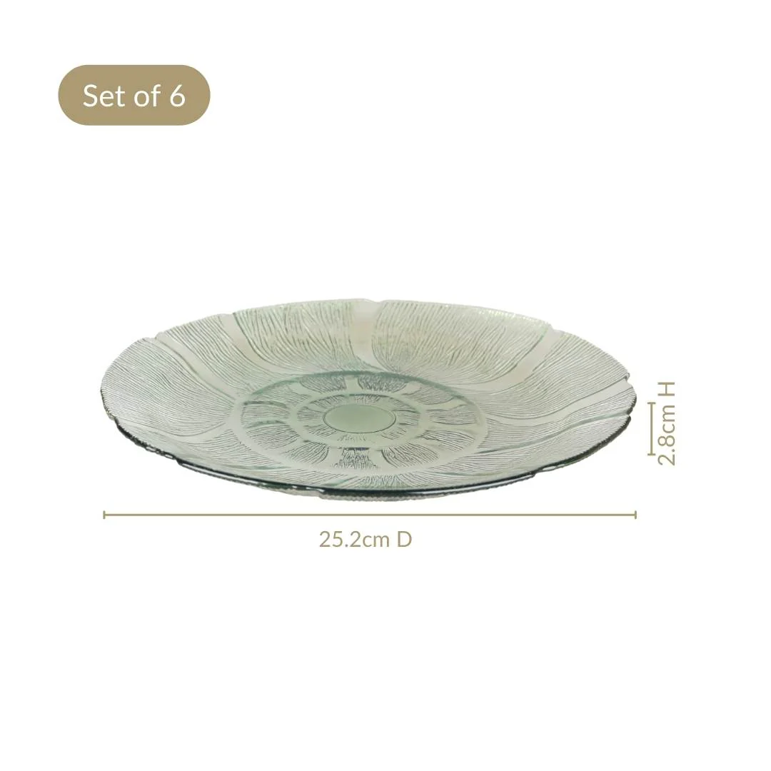 Tinted Glass Dinner Plate Set Of 6 Olive Green 25cm - Image 5
