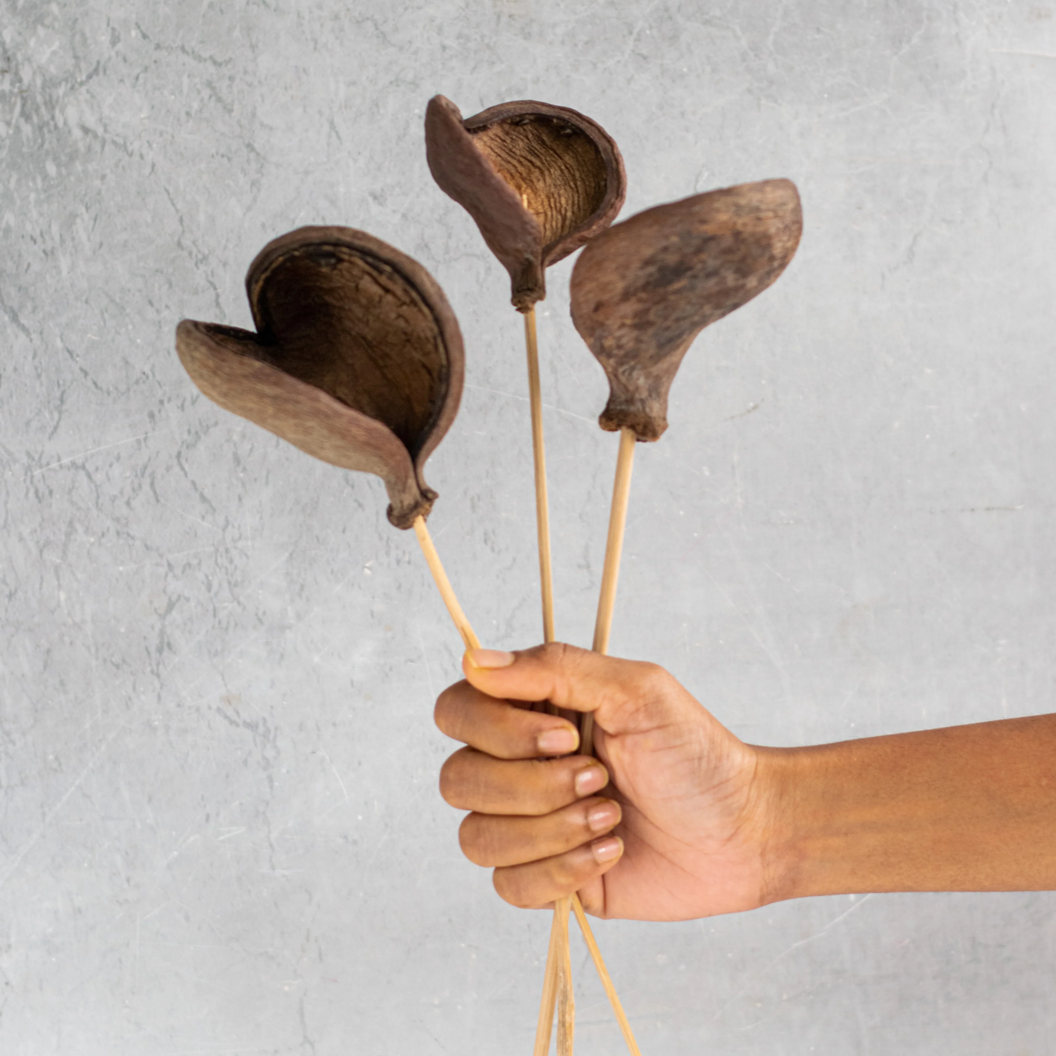 Vase Sticks - Image 3