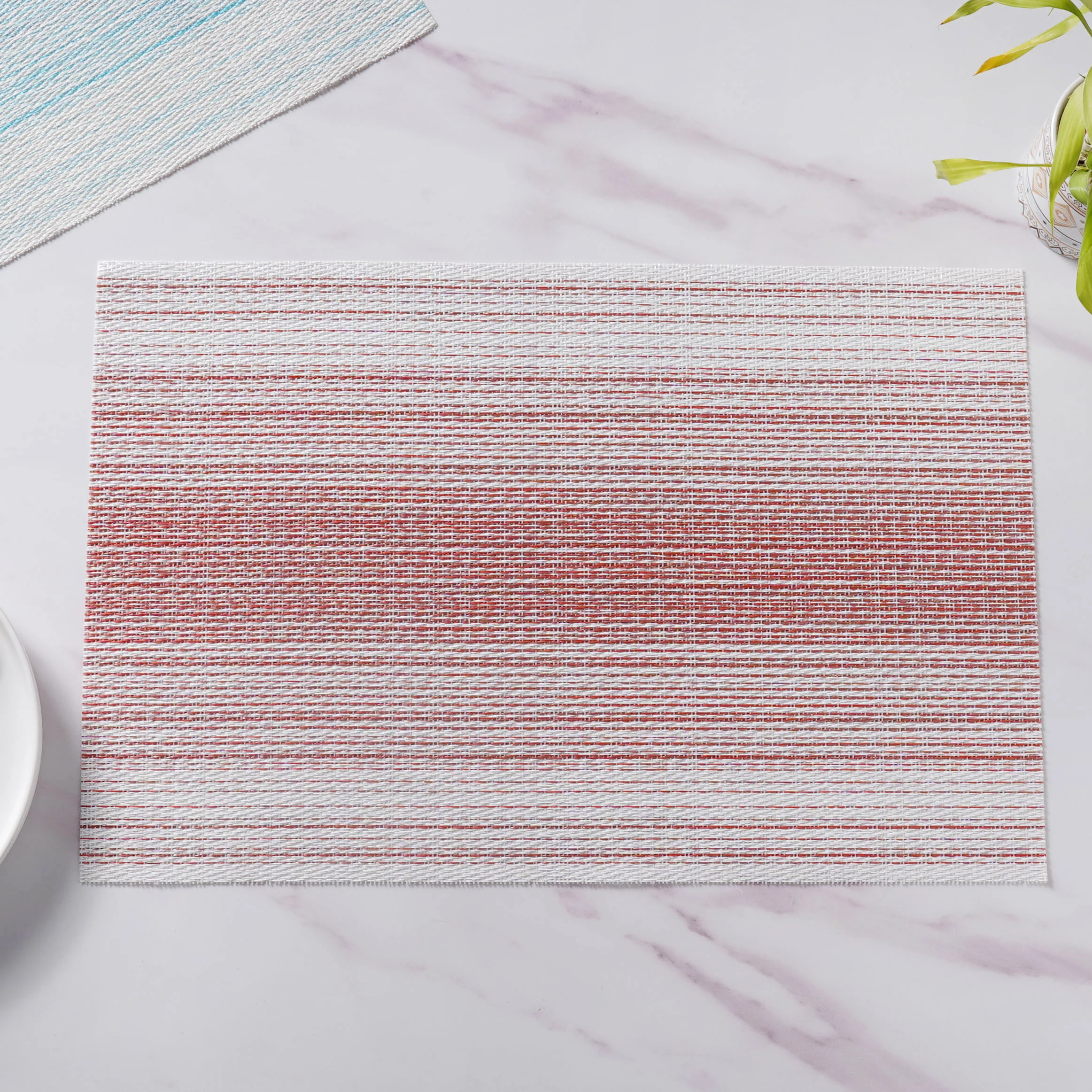 Vinyl Placemat Set - Image 18
