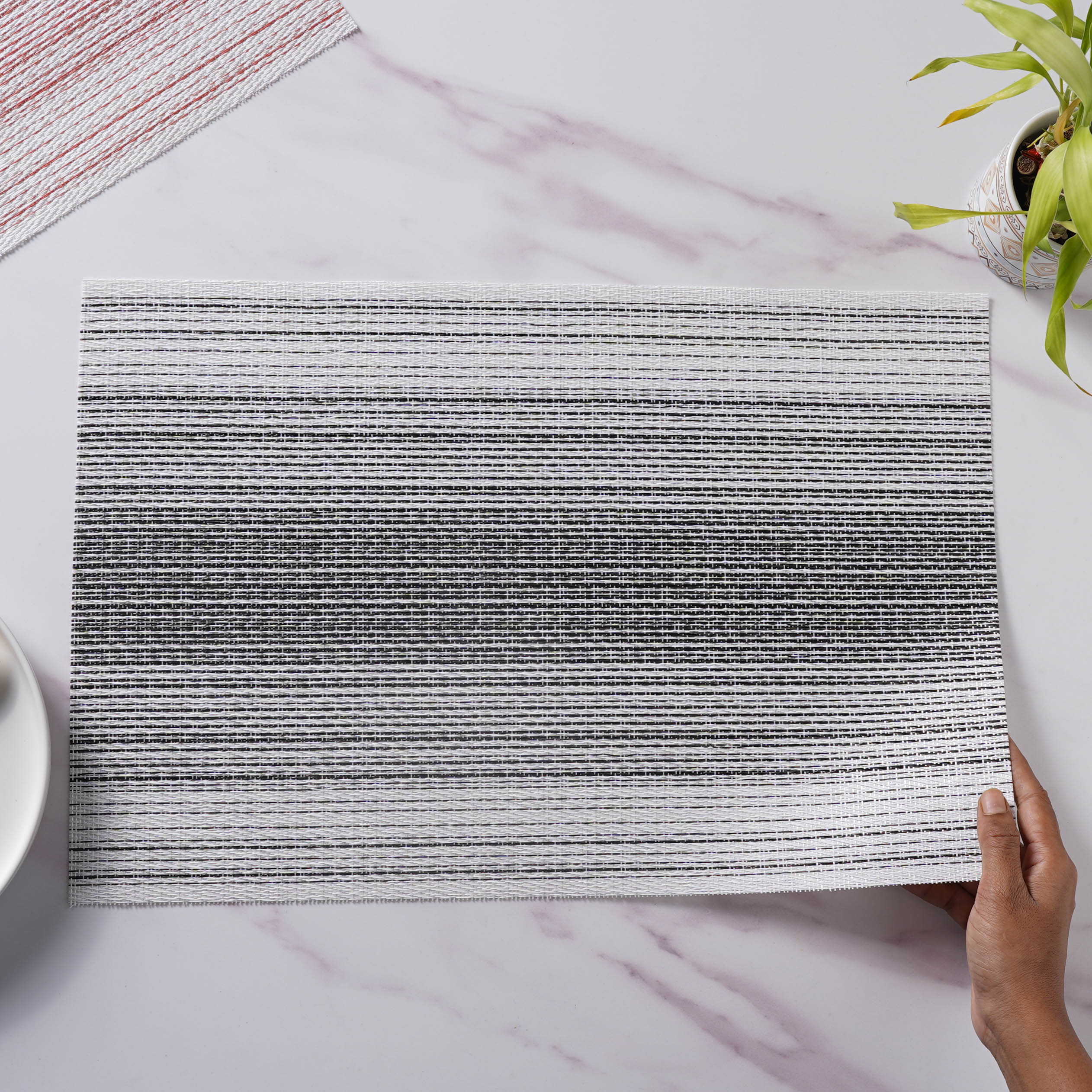 Vinyl Placemat Set - Image 20