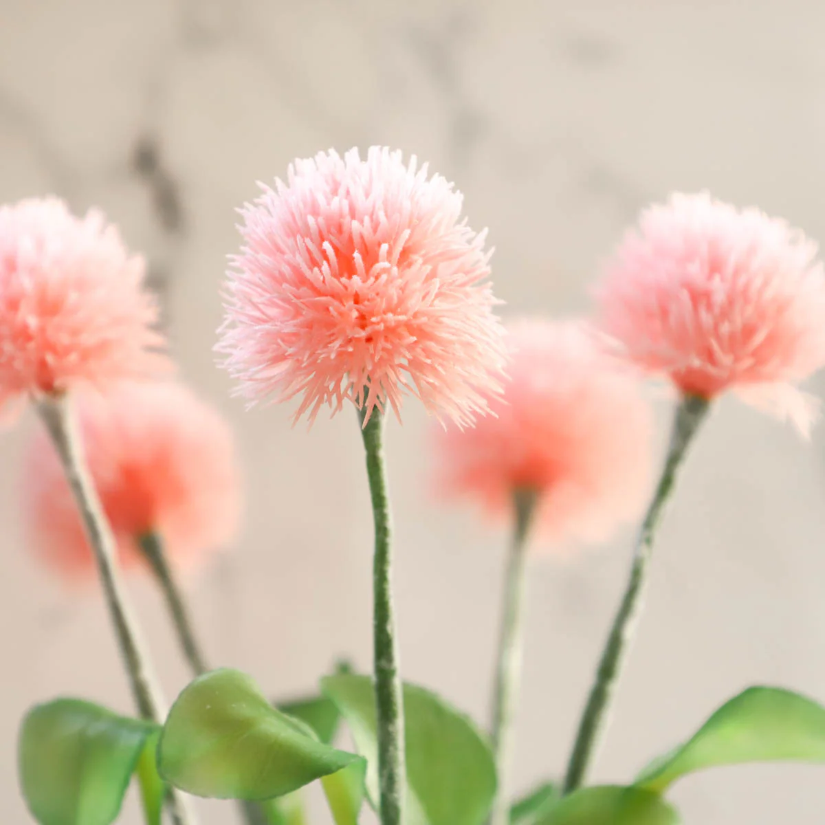 Wild Flower - Image 5