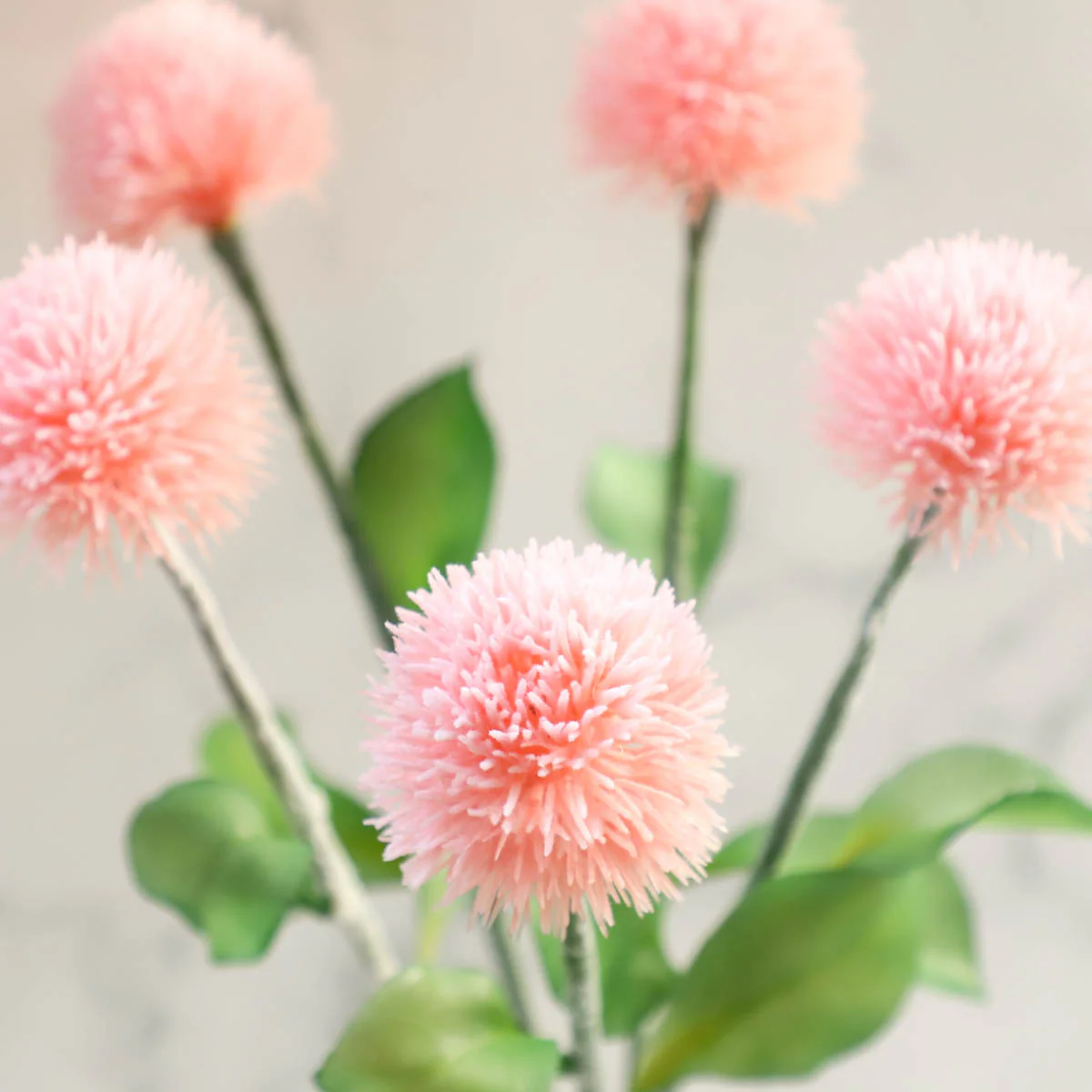 Wild Flower - Image 6
