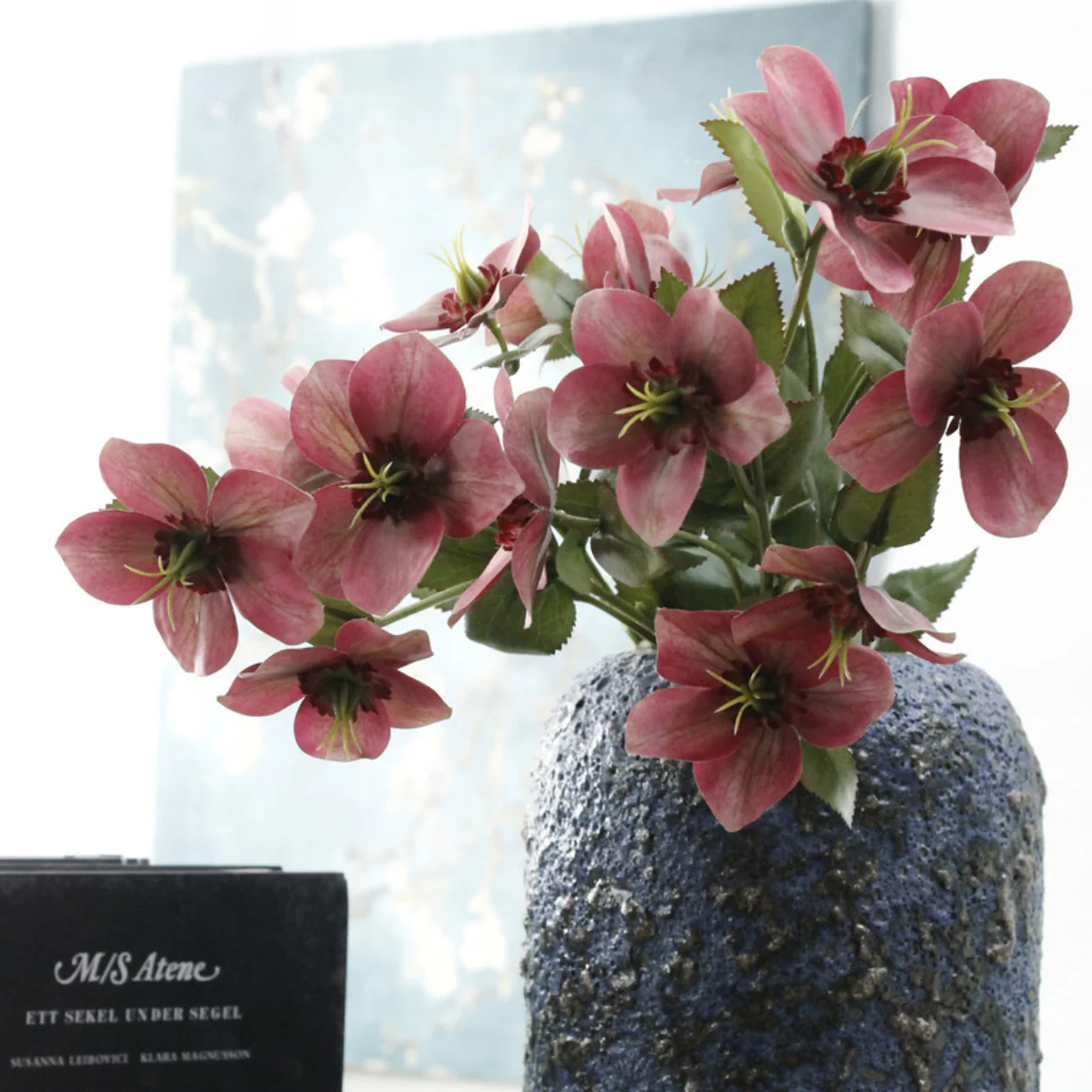 Wild Rose - Image 4